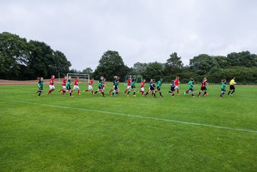 Bild 45 - C-Juniorinnen Landesmeister Finale SV Wahlstedt - TuRa Meldorf : Ergebnis: 1:4